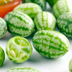 CUCAMELON 1